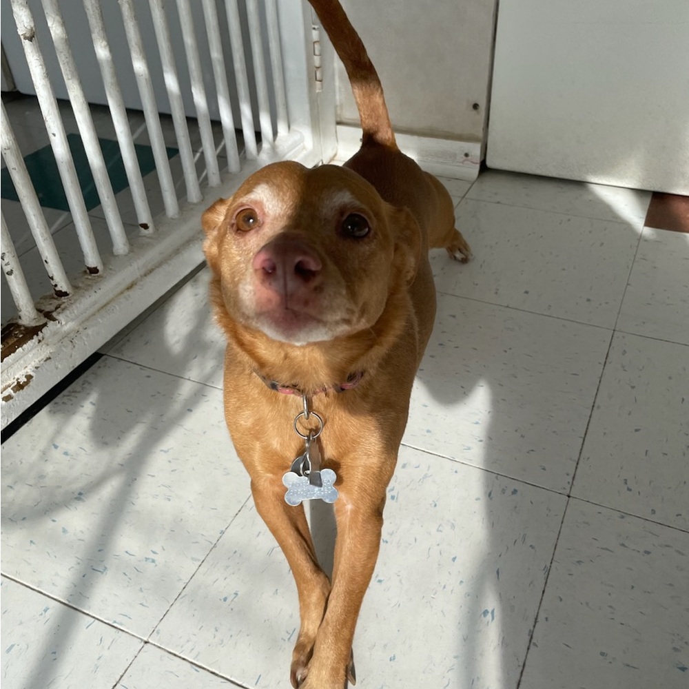 Meet your Posher, Clarissa